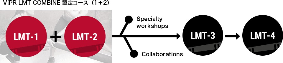 ViPRの教育システム図