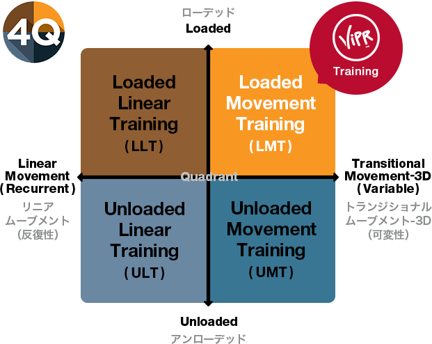 4QヘルスにおけるViPRトレーニングの立ち位置